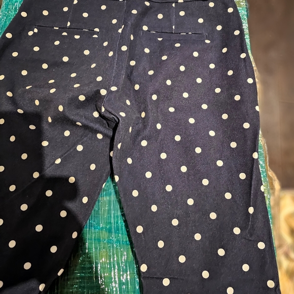 Banana Republic Pants Womens Sz 02 Blue White Polka Dot Skinny Low-Rise Jegging - Picture 7 of 7